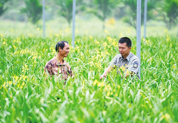 海南三農(nóng)合作